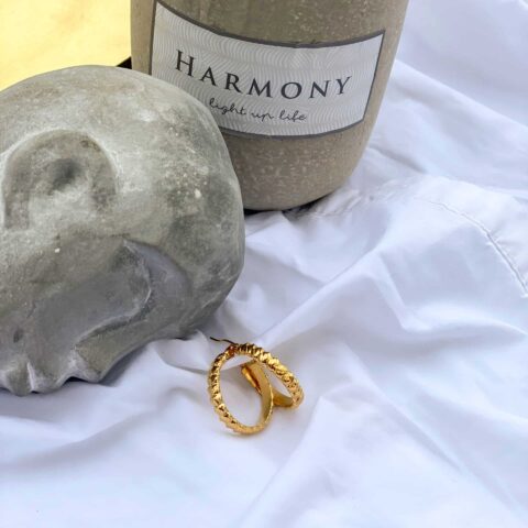 Groovy Stainless Gold Hoops