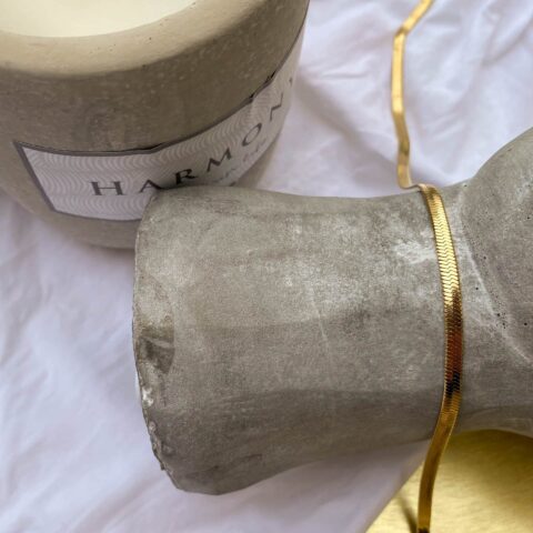 Snake Stainless Chain Silver / Gold