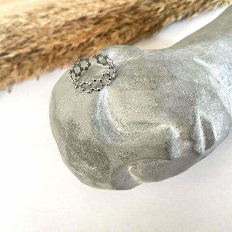 Circle ring ( silver)