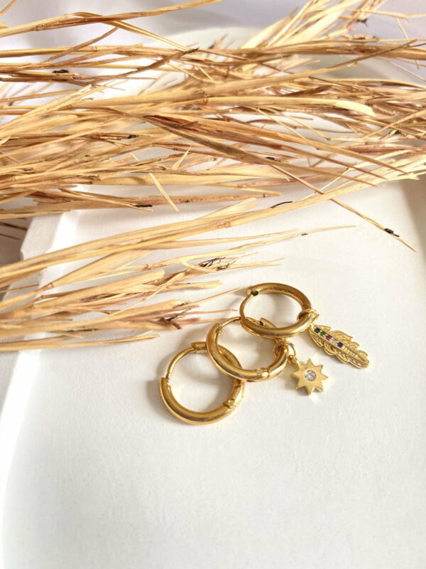 Feather And Sun Earrings