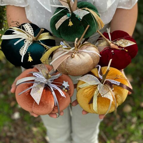 Χριστουγεννιάτικες-Βελούδινες-Κολοκύθες