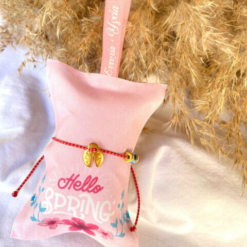 Ladybug March With Eye