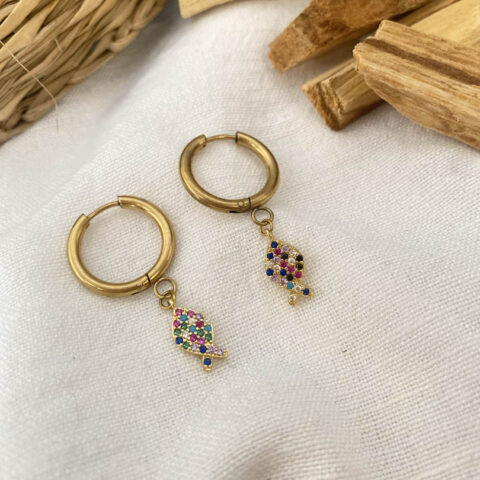 Colourful Fish Earrings