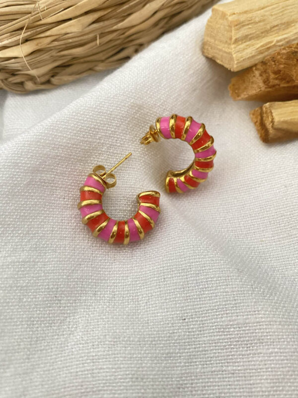 Red-Pink Earrings