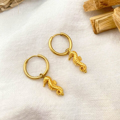 Σκουλαρίκια ιππόκαμπος